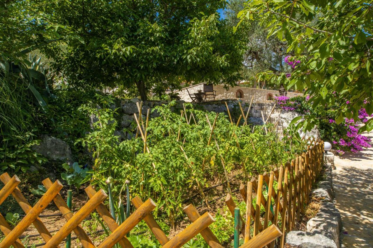 Etno House Wagner Ploce (Dubrovnik-Neretva) Exterior foto